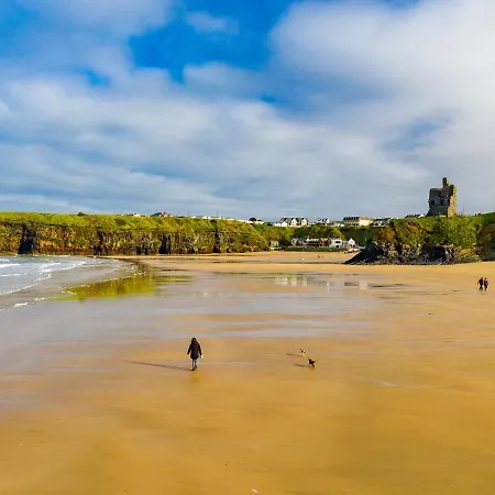 Holiday Cottages No 20 Holiday home *